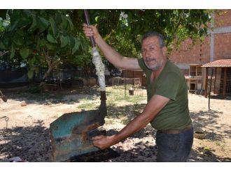 Nazilli’de Nalbantlık 100 Yıldır Yaşatılıyor