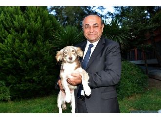 Çiğli Belediyesi’nden Hayvanlara Özel Bakımevi