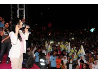 Van’da Siyasi Tutsaklara Özgürlük Mitingi