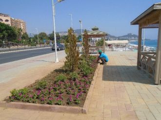 Alanya’da Peyzaj Ve Bakım Çalışmaları Devam Ediyor