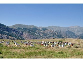 Tuncelili Arıcılar İlde Pazar Bulamamaktan Şikayetçi