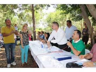 Bozuk Orman Arazisi 31 Parsel İçin Bin 283 Başvuru