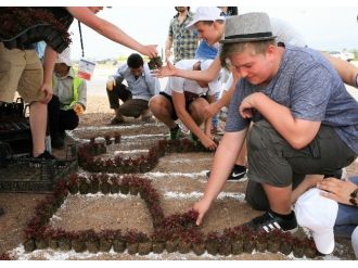 Kardeşlik Tohumları Çiçek Verdi