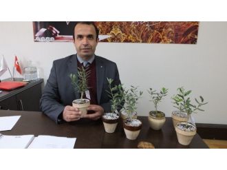 Burhaniye’de Biyolojik Mücadele Desteklemesi