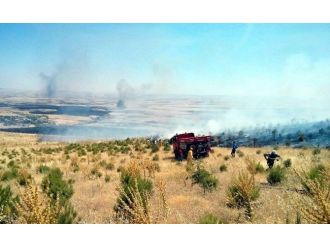 Anız Yangını Ormana Sıçradı