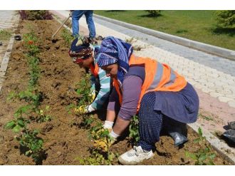 Daha Yeşil Bir Bozüyük İçin Çalışmalar Sürüyor