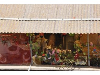 Evde Beslenen Kırka Yakın Köpek Mahalleliyi Bezdirdi