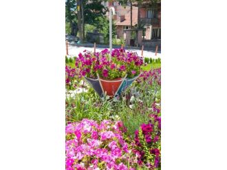 Bolu Belediyesi Geri Dönüşümü Her Alanda Kullanıyor