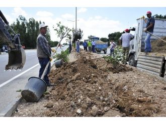 Karaman Belediyesi Yemyeşil Bir Karaman İçin Çalışıyor