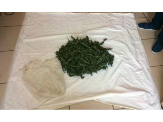 Hem Tarihi Eser Hem De Esrar Satan Zanlılar Yakalandı