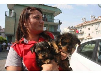 Fethiye’de Ev Yangını