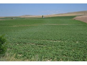 Kayseri Şeker Toprak Yılında Toprağı Koruma Seferberliği Başlattı