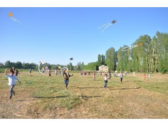 (Özel Haber) - Muş’ta Çocuklar Toy Ve Telli Turnalar İçin Uçurtma Uçurdu