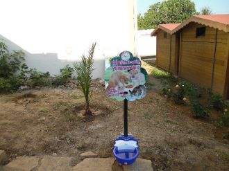 Gökçeada’da Sokak Hayvanları İçin Su Kabı