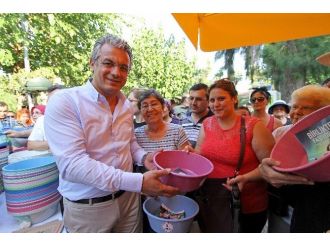 Karşıyaka’da Sokak Hayvanlarına Yardım Eli