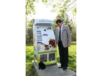 Sıcak Yaz Günlerinde Hayvanlar Unutulmadı