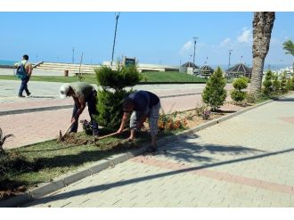 Erdemli’de Park Bahçe Düzenlemesi
