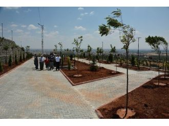 Başkan Kara, Şeyh Muhamed Bedevi Türbesine Yapılan Mesire Alanını Gezdi