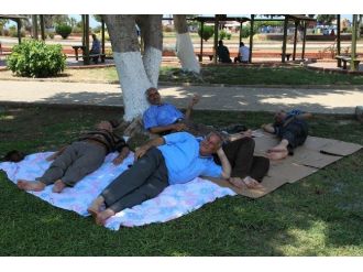 Sıcaktan Kaçan Ağaç Gölgesinde Yatıyor