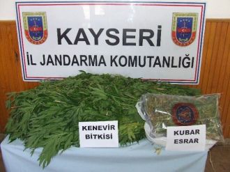 Jandarma Ekiplerinden Uyuşturucu Operasyonu