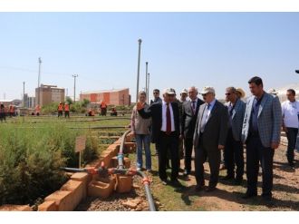 Vali Kösger, Fidanlığı Ziyaret Etti