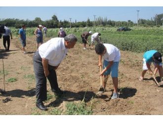 Burhaniye’de Öğrenciler Sebze Üretmeyi Öğreniyor
