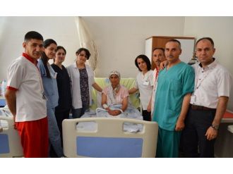 Terleme Hastalığına Son