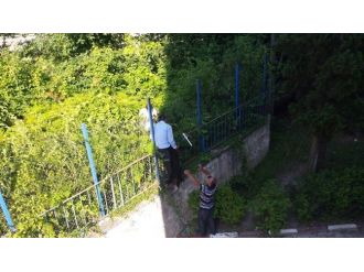 Kanala Düşen Köpek 2 Gün Sonra Kurtarıldı