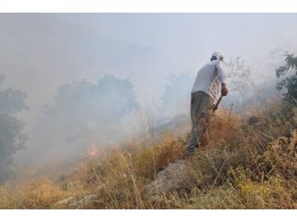 Anız Yangını Meyvelik Alana Zarar Vermeden Söndürüldü