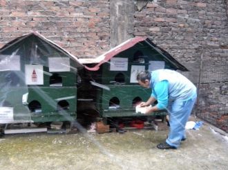 Beyoğlu Belediyesi Sokak Hayvanları İçin Seferber