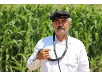 (Özel Haber) 40 Yıldır Yılanlarla Yaşıyor