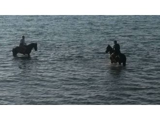 Cide’de Denize Giren Atlar İlgi Odağı Oldu