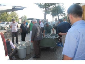 Bilecik’te 24 Bin 100 Adet Sazan Yavrusu Göletlere Salındı