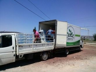 Kula’da Kışlık Sebze Fidelerinin Dikimleri Başladı