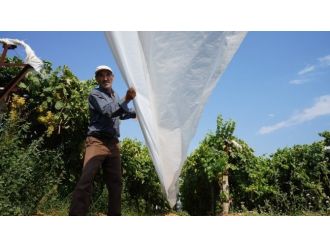 Sarıgöl Ovası Beyaza Bürünüyor