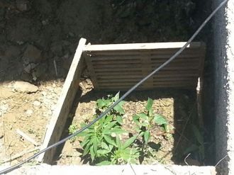 Jandarmanın Şüphesi Suçluyu Yakalattı