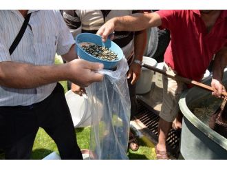 Afyonkarahisar’da Göllere 150 Bin Yavru Balık Bırakıldı