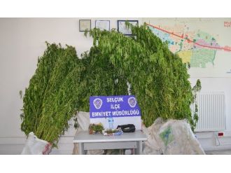 Ölümüne Takipte Polisler Yakaladı, Mahkeme Bıraktı