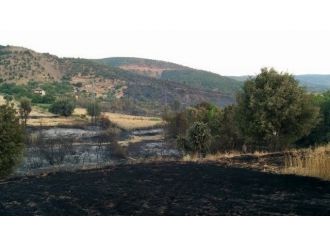 Pütürge’de Bahçe Yangını Korkuttu