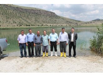 Niğde’de 5 Gölete 59 Bin 500 Yavru Sazan Balığı Bırakıldı