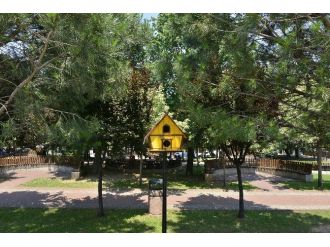 Yıldırım’da Muhtelif Alanlara Kedi Ve Kuş Evi