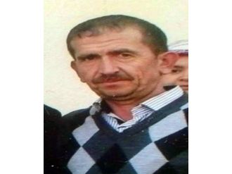 Üzerine Ağaç Devrilen Orman İşçisi Hayatını Kaybetti