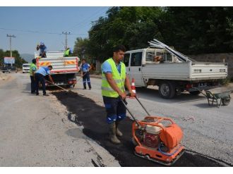 Muski Kendi Hasarını Kendisi Onarıyor