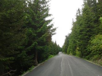 Yeşil Yol Yeşil Kalacak