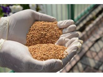 Kayseri Şeker Fabrikasında Çevreci Larvasitlerle Biyolojik Mücadele Başlatıldı