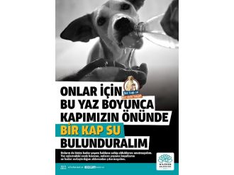 Sokak Hayvanları İçin Bir Kap Su Kampanyası