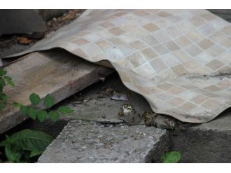 Arı Kovanı Yıkıldı, Arıların Sahibi Hastanelik Oldu