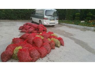 Jandarma Ekipleri Midye Kaçakçılarına Göz Açtırmıyor