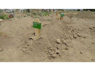 Erzincan’a Defnedilen Şahsın, Yeşil Olduğu İddiası