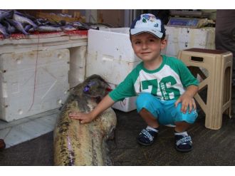 Temmuz Ayının En Büyük Yayın Balığı Yakalandı